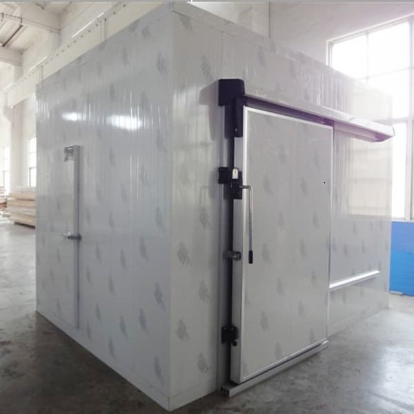 cold storage project cost _cold room for fruit and meat